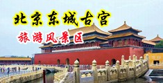 男生和女生操逼网站中国北京-东城古宫旅游风景区